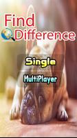 پوستر Find the Difference Photo Hunt Games