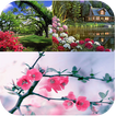 ”My Nature Wallpapers