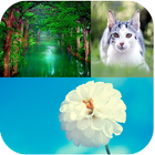 Nature Backgrounds آئیکن