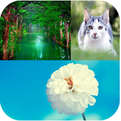 Nature Backgrounds icon