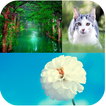 Nature Backgrounds