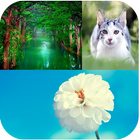 Icona Nature Backgrounds