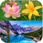 Nature Wallpapers icon