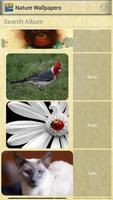 Nature Wallpapers Affiche