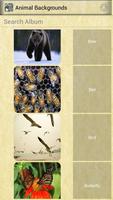 Animal Backgrounds Affiche