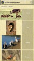 All Birds Wallpapers पोस्टर
