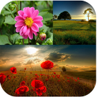 Cute Nature Wallpapers أيقونة