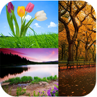 Charming Nature Backgrounds Zeichen