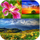 Stunning Nature Images icon