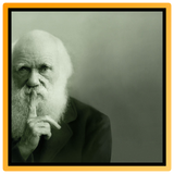 Charles Darwin icône