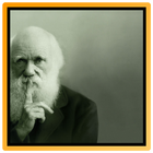 Charles Darwin icon