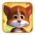 Kitten app
