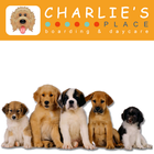 Charlie's Place Doggie Daycare Zeichen