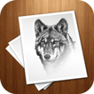 learn to Draw Wolf