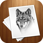 learn to Draw Wolf أيقونة