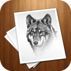 learn to Draw Wolf Zeichen