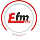 E-FM Radio APK