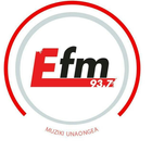 E-FM Radio ícone
