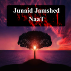 Junaid Jamshed Naat أيقونة