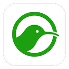 Kiwi icon