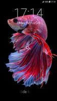 Betta Fish Pattern Lock Screen Affiche