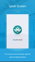 BlueTerminal plakat