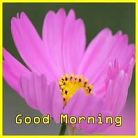 Good Morning Flower Affiche