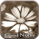 Good Night Beautiful Flowers icon