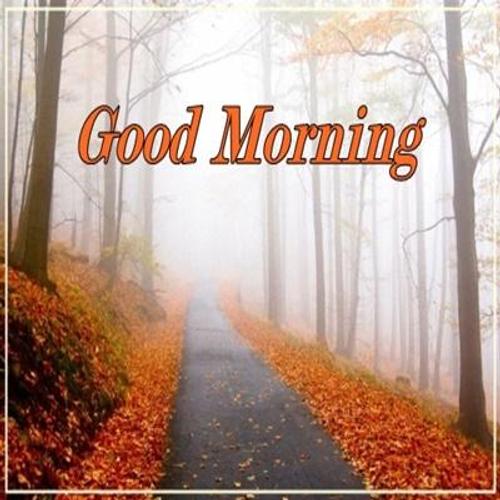 Good morning nature