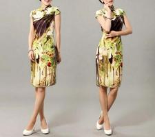 Cheongsam Chines Dress Moda Cartaz