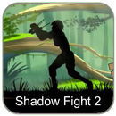 Cheat Shadow Fight 2 APK