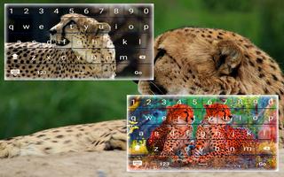 Cheetah Keyboard Theme captura de pantalla 1