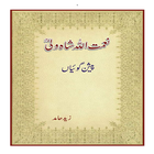 Naimatullah Shah Wali Prophecy icon
