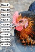 Chicken Sounds for Kids Ekran Görüntüsü 2