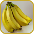 Fruits and Vegetables for Kids