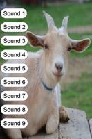 Goat Sounds for Kids screenshot 1