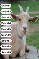 Goat Sounds for Kids screenshot 3