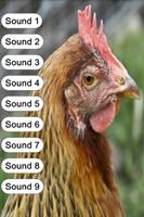 Hen Sounds for Kids screenshot 3