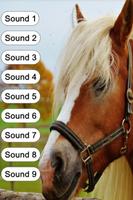 Horse Sounds for Kids capture d'écran 1
