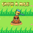 Catch A Mole