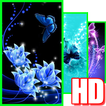 Butterfly HD Live Wallpaper