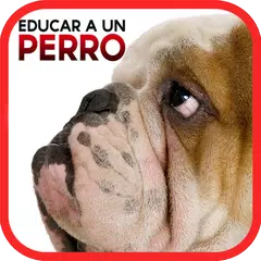 Cómo Educar a un Perro APK 下載