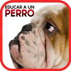 Cómo Educar a un Perro иконка