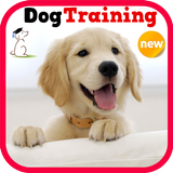 Dog Training ไอคอน