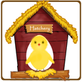 Egg Hatcher- Funny  game