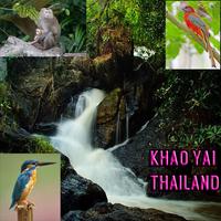 Khao Yai Thailand Affiche