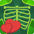 Chest Heart Surgery