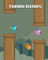 Turbo Birds: Fun Race Poster