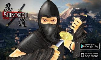 Ninja Assassin Killer HD Affiche