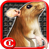 Sewer Rat Run! 3D APK